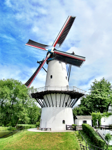 Molen De Vlinder