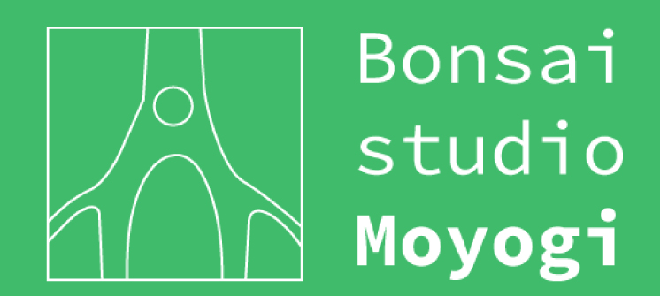 bonsai-studio-moyogi-logo