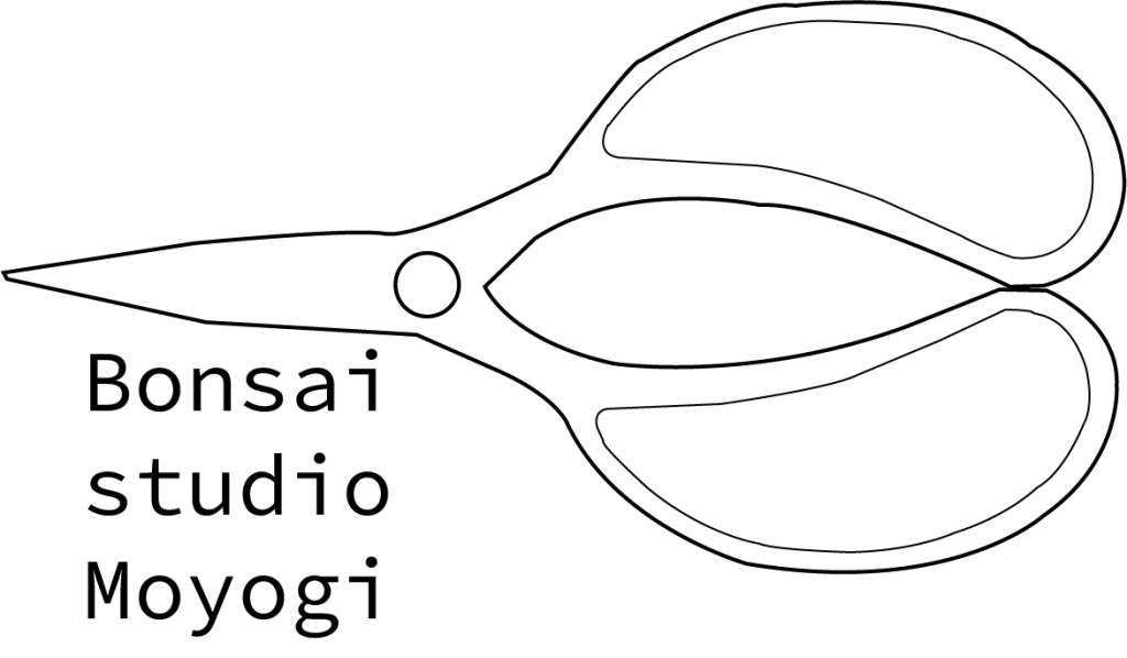 schaar-D2v3